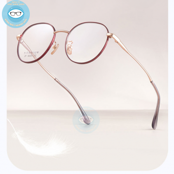 gọng kim loại mã 6202